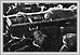  Coin des Stock Yards bâtiment d’exposition dans la distance de Winnipeg Canada édité par le conseil municipal de Winnipeg janvier 1904 03-052 Winnipeg-Views-Album 63 Archives of Manitoba